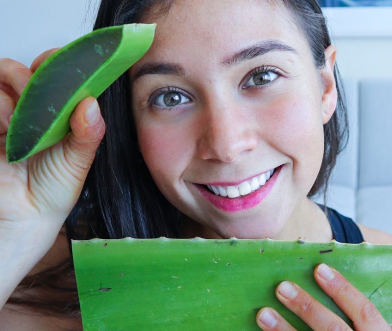 Usos del Aloe Vera – ¡La Planta de la Inmortalidad!